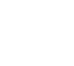 生きくらげでしか味わえない耳たぶみたいな柔らか触感